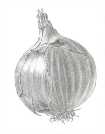 Onion study (graphite)