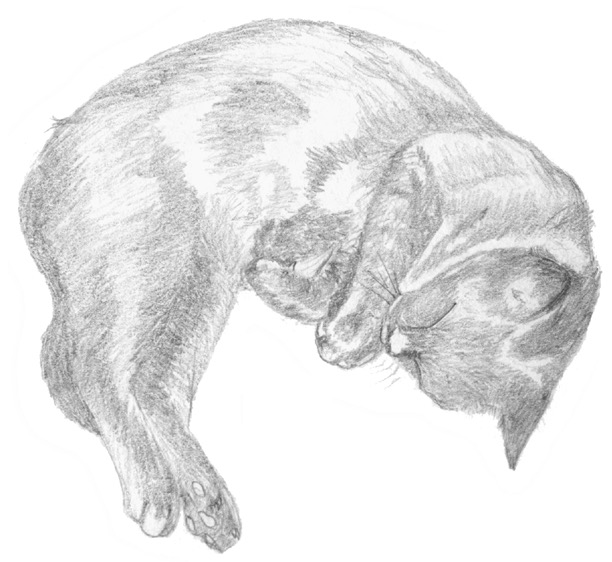 12b