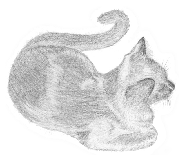 13a
