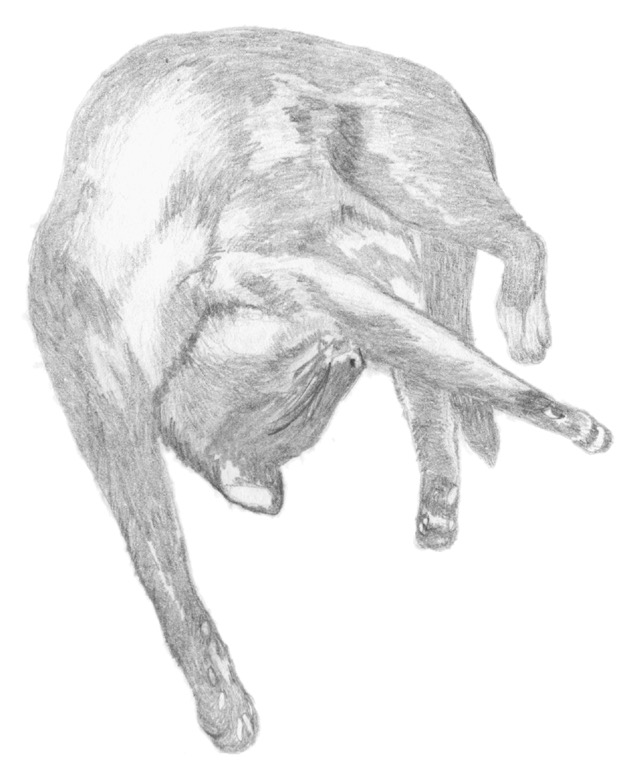13b