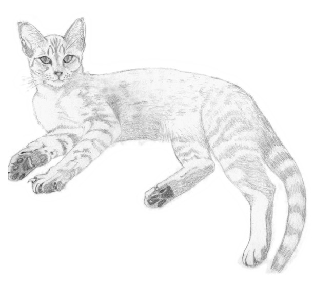 3b