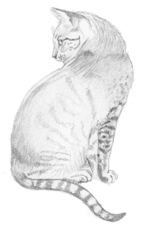 4a