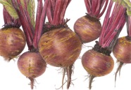 Beetroots001