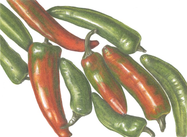 Chillies