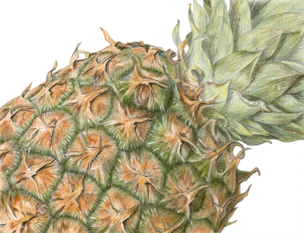 Pineapple