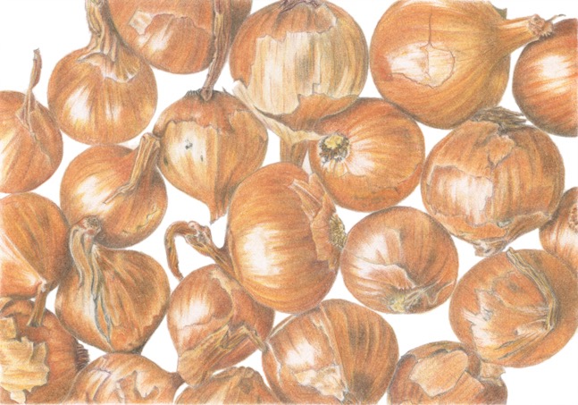 Shallots