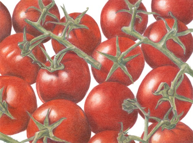 Tomatoes