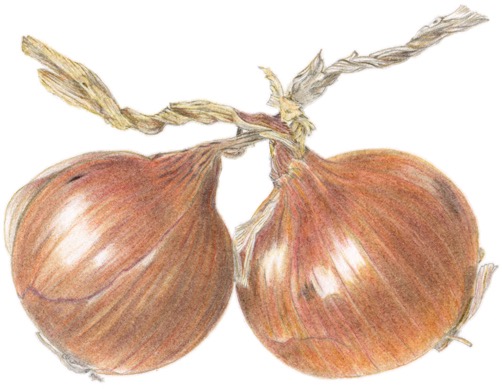 Onions